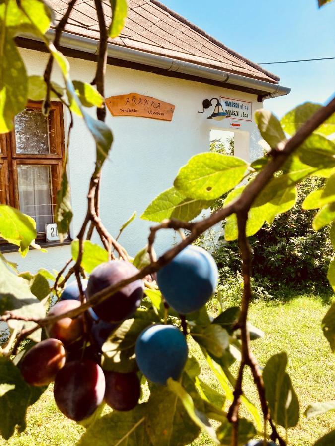 Ubytovanie U Aranky Cierna nad Tisou Exterior foto